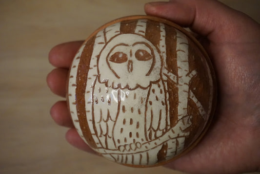 Owl jewelry box