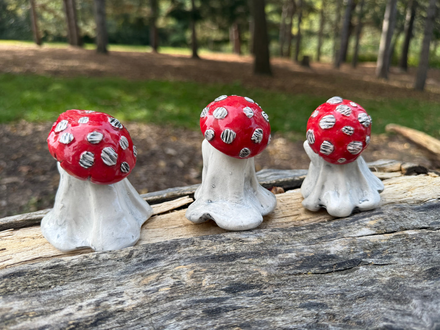 Mushroom spirit folk